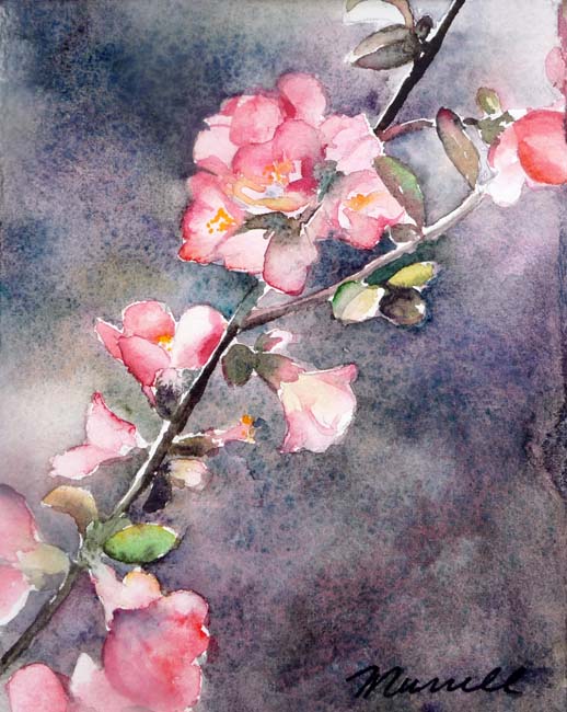 Cherry Blossoms, Copyright © Marie Murrell