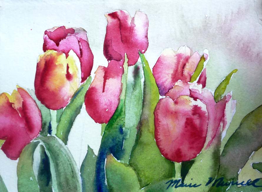 Tulips, Copyright © Marie Murrell